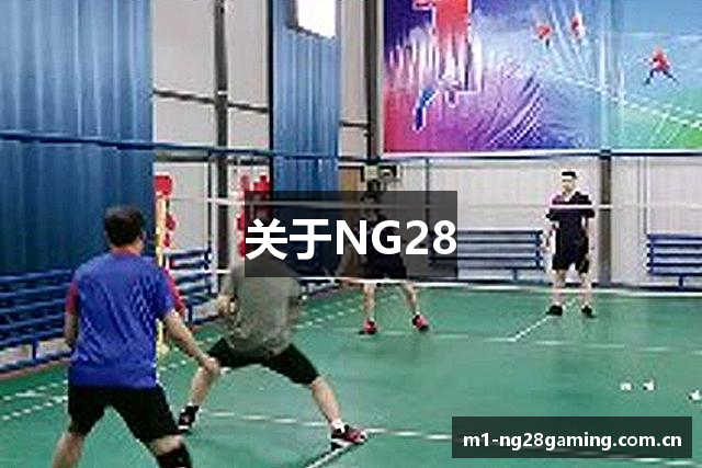 关于NG28